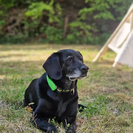 Роскошный шатер Teepee U Sedeho Vlka *