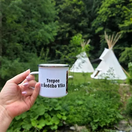 Роскошный шатер Teepee U Sedeho Vlka Дештне в Орлицких горах