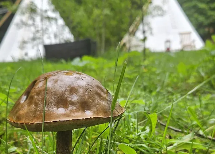 Teepee U šedého Vlka * Destne v Orlickych horach